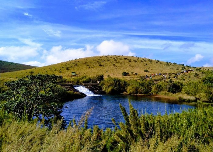 Horton-plains