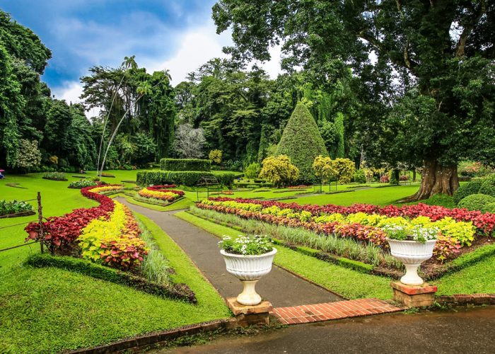 hakgala-botanical-garden
