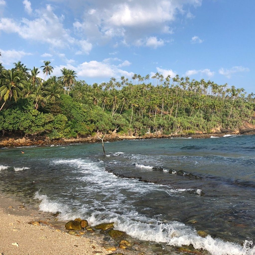 Tropical beach with palm trees, waves hitting rocky shore